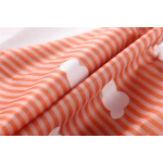 Safety Harness Supplier - Walking Assistant