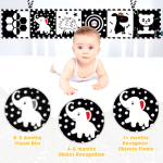 Plastic Boat Supplier - Rowing Boat