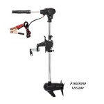 Outboard Motor Supplier - 12V 2 Stroke