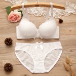 Bra Set Supplier - Adjustable Lace