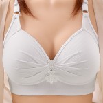 Women Bra Supplier - Seamless Plus Size