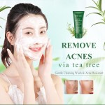 Acne Cleanser Manufacturer - Green Tea Tree