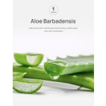 Hair Growth Spray Manufacturer - Andrea Brand