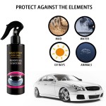 Car Coating Factory - Wrinkle Free