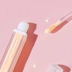 Foundation Liquid Factory - 3 Color Concealer