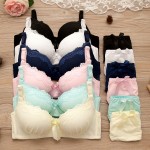 Bra Set Supplier - Adjustable Lace