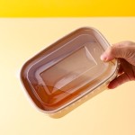 Salad Bowl Supplier - PLA Coating Square