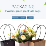 Paper Bag Supplier - Open Window Self-supporting