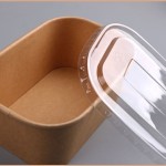 Salad Bowl Supplier - PLA Coating Square