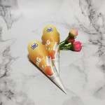 Cake Box Supplier - Transparent with Lid