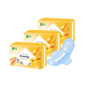 Sanitary Napkins Supplier - Dry PE Mesh Breathable