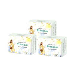 Women Sanitary Towel Factory - Anion Chip Soft