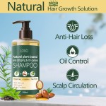 Hair Shampoo Manufacturer - OEM ODM Organic Rosemary Repair