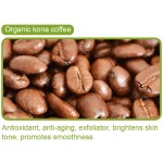 Coffee Scrub Factory - OEM Custom Natural Arabica Cleanse