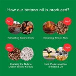 Batana Oil Manufacturer - OEM Custom Pure Natural Hair Care