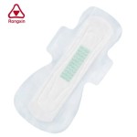 Sanitary Napkin Manufacturer - Anion Chip
