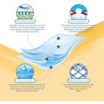 Urine Pad Supplier - Hospital Blue Film