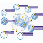 Cotton Diapers Manufacturer - Colorful Printed