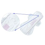 Panty Liner Manufacturer - Herbal Mint