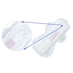 Panty Liner Manufacturer - Herbal Mint