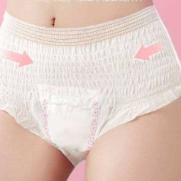 Period Panties Factory - Disposable Heavy