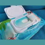 Panty Liners Supplier - 155mm Butterfly
