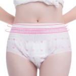 Sanitary Napkin Pants Manufacturer - Lady Disposable Menstrual Pants