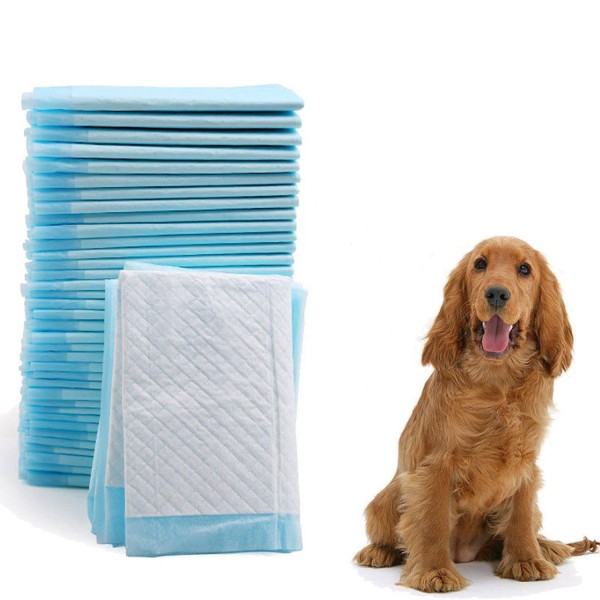 Puppy Pet Pad Supplier - Disposable Indoor Toilet Training