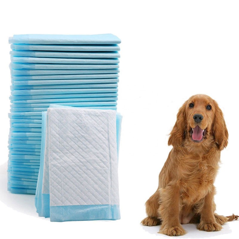 Puppy Pet Pad Supplier - Disposable Indoor Toilet Training
