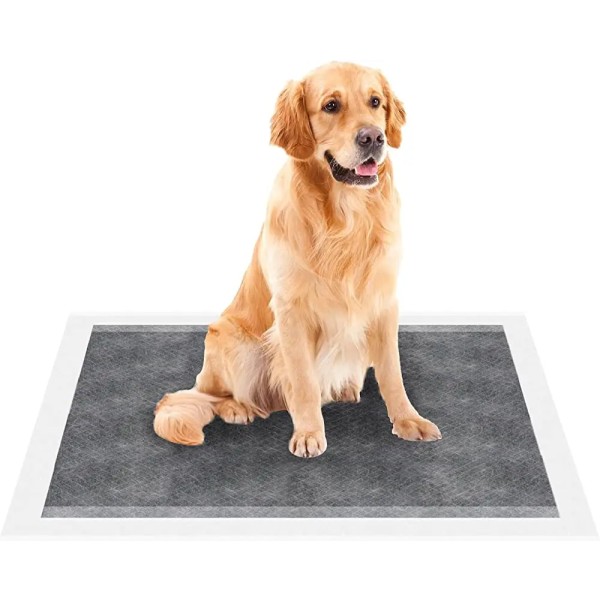 Pet Training Supplies Manufacturer - Factory Wholesale Charcoal Urine Pad