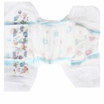 Baby Diaper Supplier - OEM Wholesale Premature Training Pants
