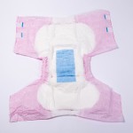 Adult Diaper Manufacturer - Free Sample Custom Printed Women