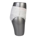 Menstrual Pants Supplier - Private Label OEM Disposable Lady