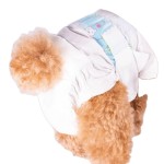 Dog Diapers Manufacturer - China Wholesale Leak Proof High Quality