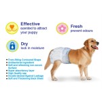 Pet Baby Diaper Factory - China Manufacturer Low Price Custom