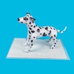 Pet Pee Pads Factory - Wholesale Disposable Puppy Pee Pad