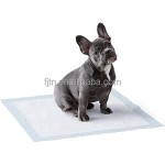 Puppy Pet Pad Supplier - Disposable Indoor Toilet Training