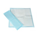 Training Pad Factory - Latest Product Custom Design Disposable