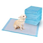 Puppy Pet Pad Supplier - Disposable Indoor Toilet Training