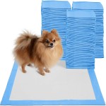 Puppy Pet Pad Supplier - Disposable Indoor Toilet Training