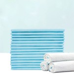 Urine Pad Factory - Factory Wholesale Disposable Customized