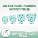 Bamboo Diapers Supplier - Washable Reusable Organic Wholesale