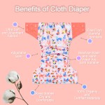 Cloth Diapers Manufacturer - Wholesale Reusable Washable Insert