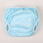 Training Pants Supplier - Waterproof Leak-Proof Reusable Swim