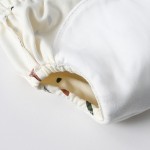 Training Pants Supplier - Reusable Cloth Diaper Cover Pull up