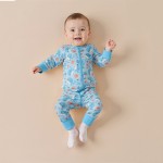 Baby Clothes Manufacturer - Organic Bamboo Pajamas Rompers