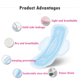 Menstrual Underwear Factory - Disposable Pants