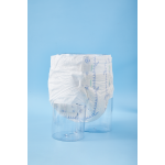 Sanitary Pad Factory - Suspended Core