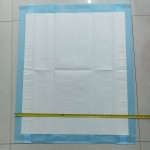 Incontinence Pads Supplier - Quick Absorbency