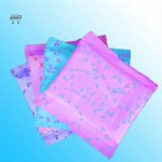 Menstrual Pants Supplier - Plus Size Hygiene